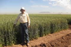 1. ravi singh con sus ensayos