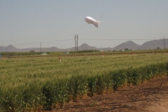 10. zeppelin fisiologa