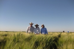 30. mejoradores de duros