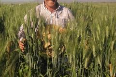 35. aquellos duros antiguos