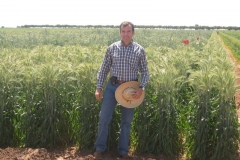 48. visita programa triticale