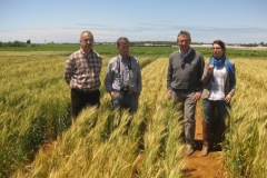 19. visita responsables de basf