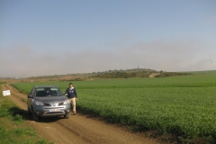 7. produccin de don ricardo en conil