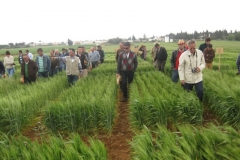 9. visita ensayos conil