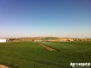 Ecija