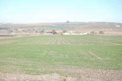 1. campo de ensayos diciembre 2011