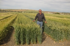 13. karim en ecija