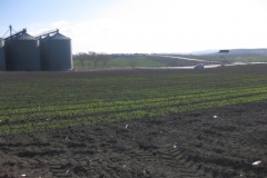 2. bandas promocion naciendo