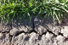 8. sequia en febrero