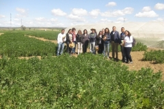 30. visita etsiam en ensayos solibam