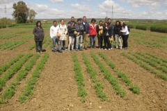 31. visita etsiam en ensayos garabanzo