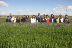 32. visita etsiam en prebase triticale