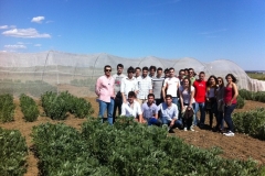 37. etsia en solibam