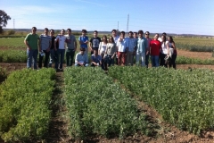 38. etsia en ensayos de guisante