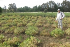 40. jose miguel en vivero guisantes