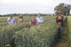 48. equipo agrovegetal-campo de tejada