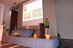 55. ponencia rubiales