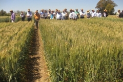 60. conil en visita raea