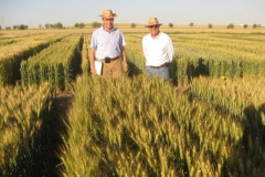 61. con conil en raea