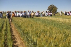 62. trebujena en visita raea