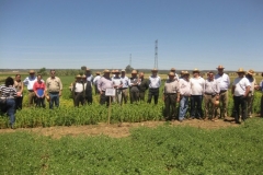 66. abstress visita agricultores