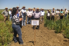 71. visita solibam ii