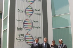 con adn y genes trigo