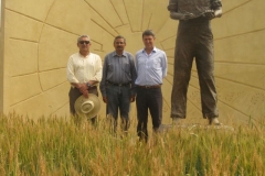 con borlaug y ravi