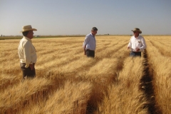 con karim en duros riego reducido