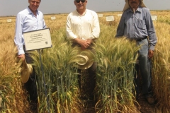 con ravi y super variedad