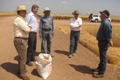 con rodrigo rascn y primer trigo cosechado