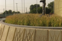 dr borlaug y banderas