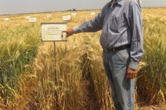 dr ravi singh