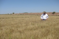 karim en campo de cirno