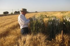 karim y cruzamientos