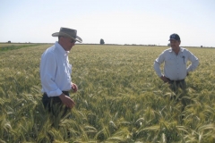 karim y hctor en triticale