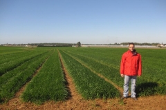 2. bandas de promocin en conil