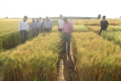23. visita agricultores cooperativa conil
