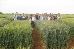 19. visita etsiam a ensayos cija