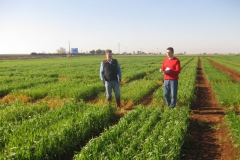 5. dato de aspecto en febrero