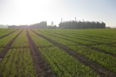 1. ensayos en febrero