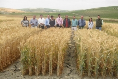 13. equipo tcnico de agrovegetal