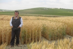 14. manolo feliz con sus triticales