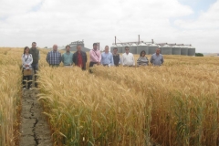 16. tcnicos en san dionisio