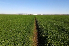 2. don jos y don norman en sotillo