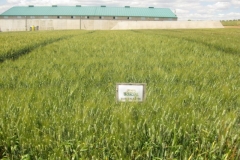 23. don valentn en campo de tejada