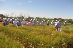 28. visita a ensayos trigo duro