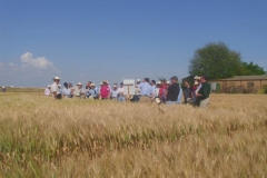 35. visita al campo anove