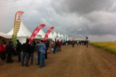 01 jornada en sadaba