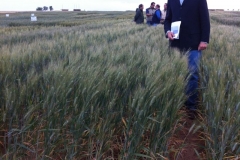 03 don norman en sadaba